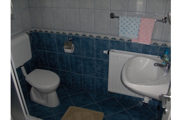 Madjarska Privát Kehidakustány, Eksterijer